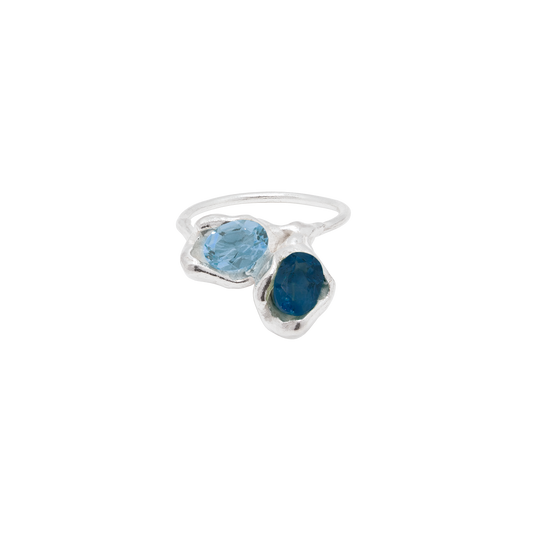 DOUBLE BLUE FIREFLY