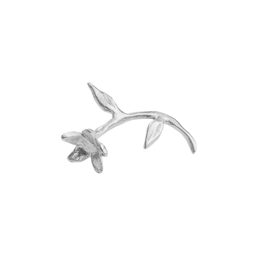 FLOR DE SANT JORDI - aguamarga