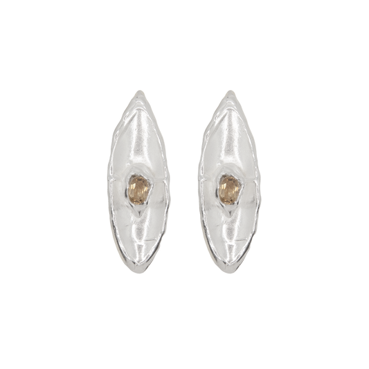 CLEAR BROWN SILVESTRE