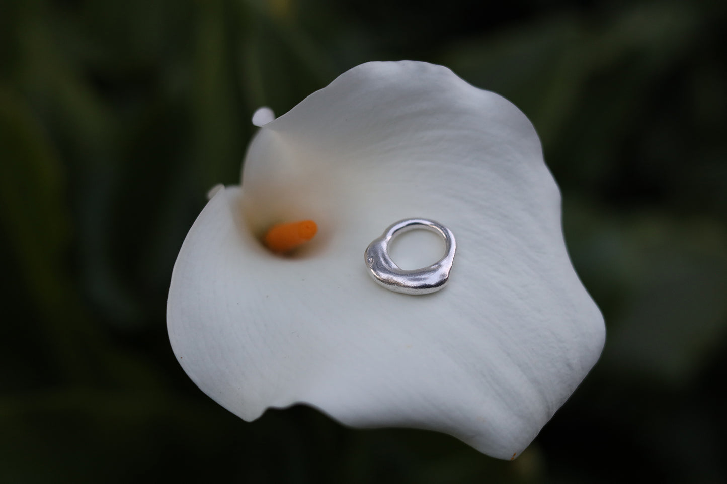 VALLE DE LA LUNA ring - aguamarga