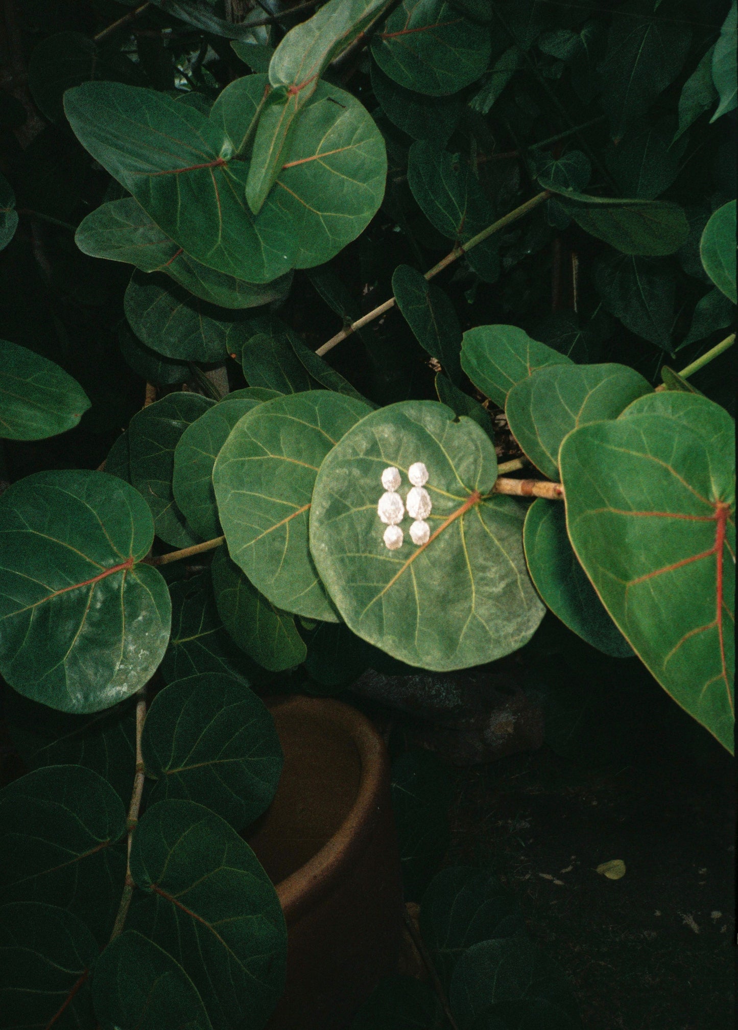 LONG EGEO earrings - aguamarga