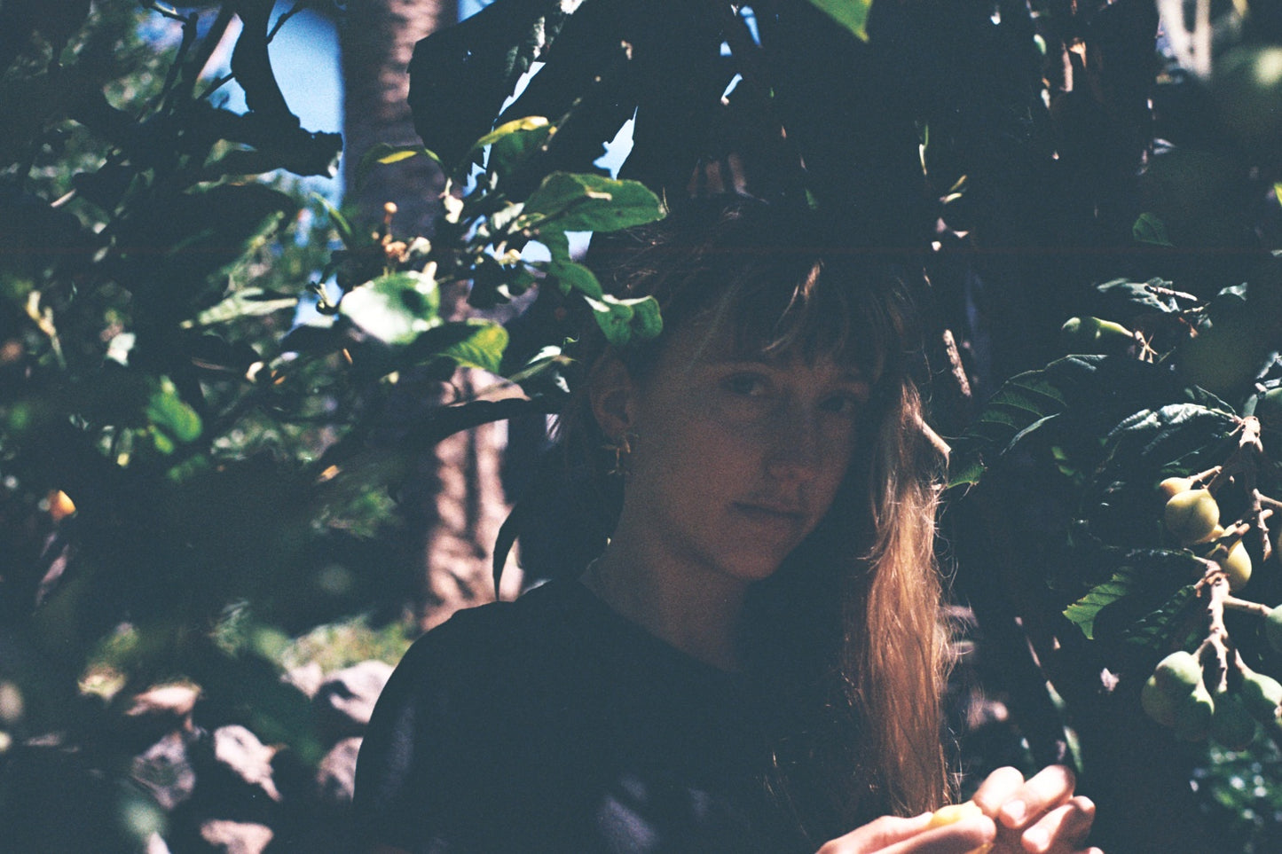 FLOR DE SANT JORDI - aguamarga